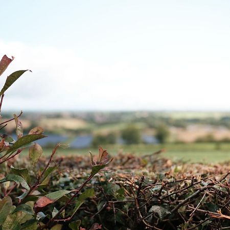 Drumnavaddy Cottage Dromore  المظهر الخارجي الصورة