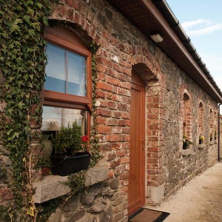 Drumnavaddy Cottage Dromore  المظهر الخارجي الصورة